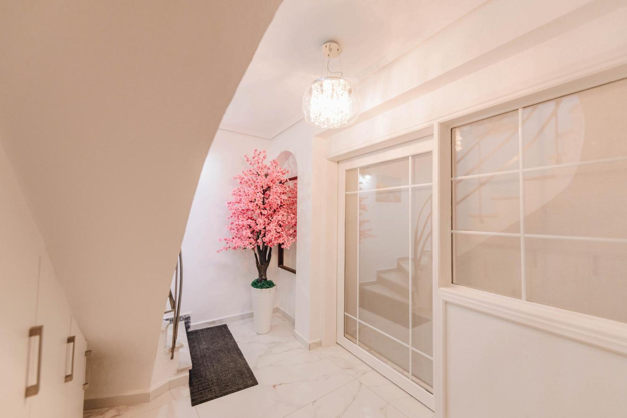 Sunrise Guesthouse Agria Esterno foto